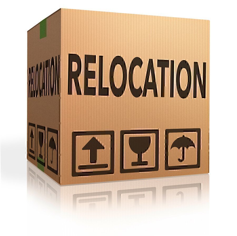 What Is A Word For Relocation